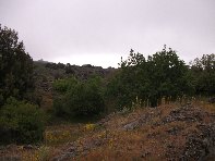 Grotta Intraleo